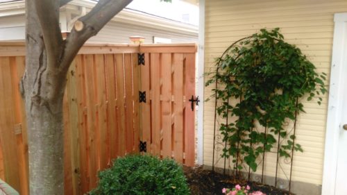 Wood cedar shadow box privacy with single gate
