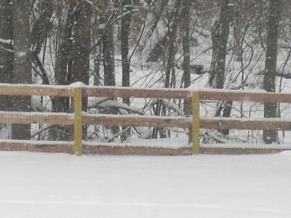 KY 3 Board Fence/Snow